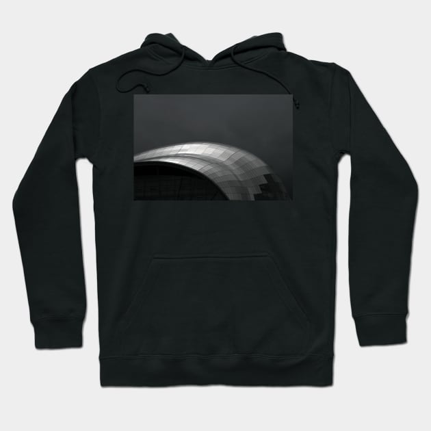 What a Grey Day Hoodie by RoystonVasey